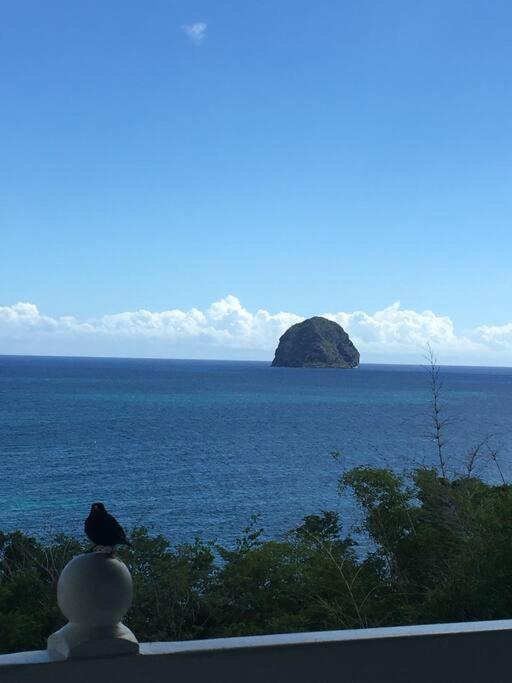 Studio Vue Mer Et Rocher Du Diamant Antilles ル・ディアマン エクステリア 写真